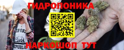 гидропоника Чапаевск